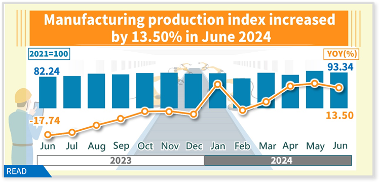 Industrial Production Index in June 2024