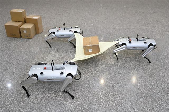 三隻國產四足機器人透過群體協作共同搬運物資，展現多機協同、任務分工及物資補給能力