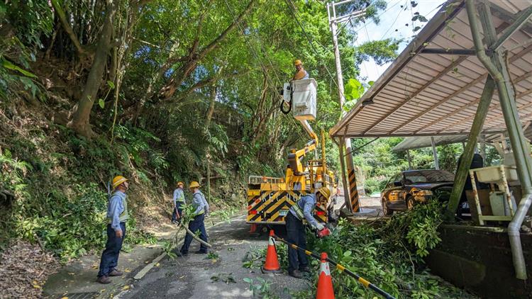 台電每年例行在颱風汛期前展開預防性路樹修剪作業，以減少樹木觸碰電桿而發生停電事故。