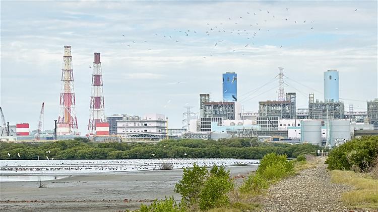 台電投入高雄永安濕地保育逾10年，透過科學化管理，結合水位調控技術，將濕地打造為適合候鳥棲息覓食的「水鳥大飯店」。