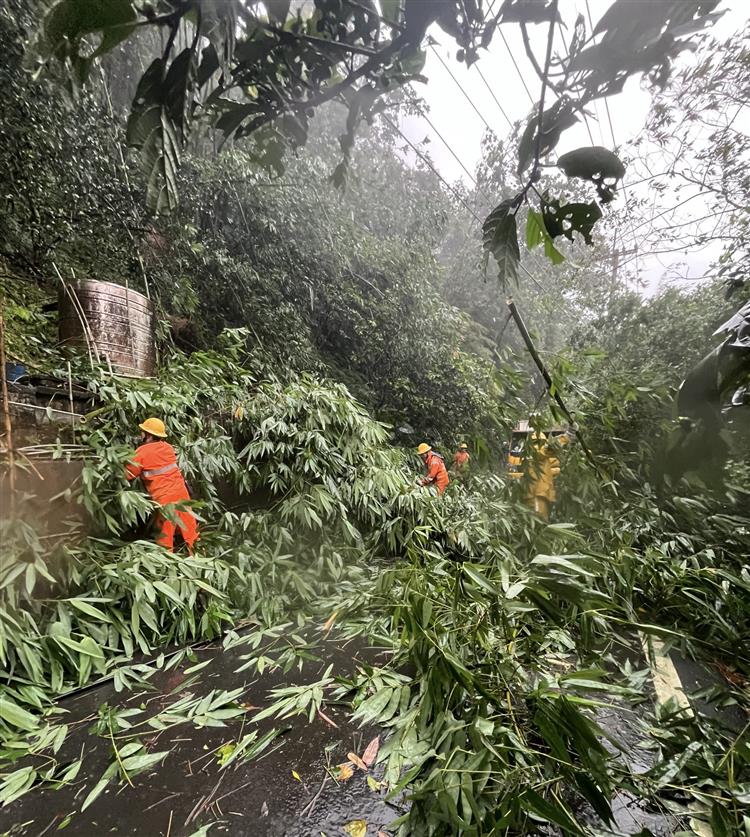 新竹縣關西鄉因風雨造成樹木倒斷，台電人員進行搶修。