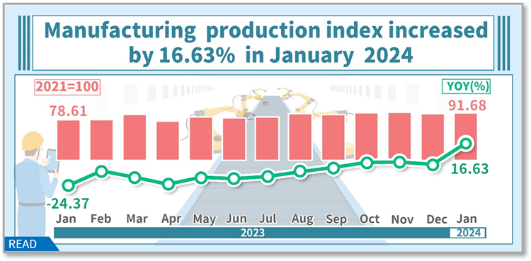 Industrial Production Index in January 2024