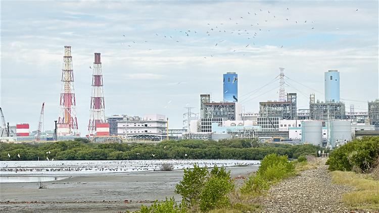 黑琵New Year！ 台電永安濕地經營「水鳥大飯店」獲環境教育認證 今揭牌
