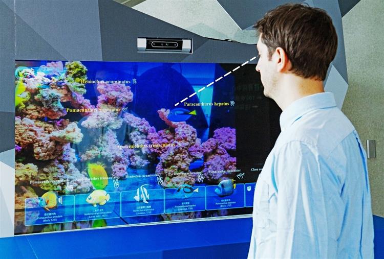 NeoVision AR