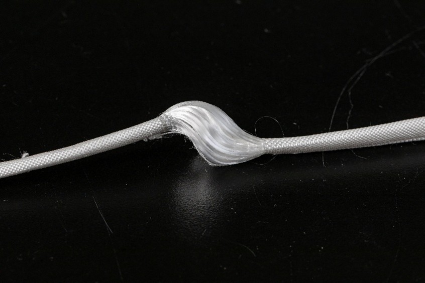 Bio-Inspired Ligament Scaffold (BILS)