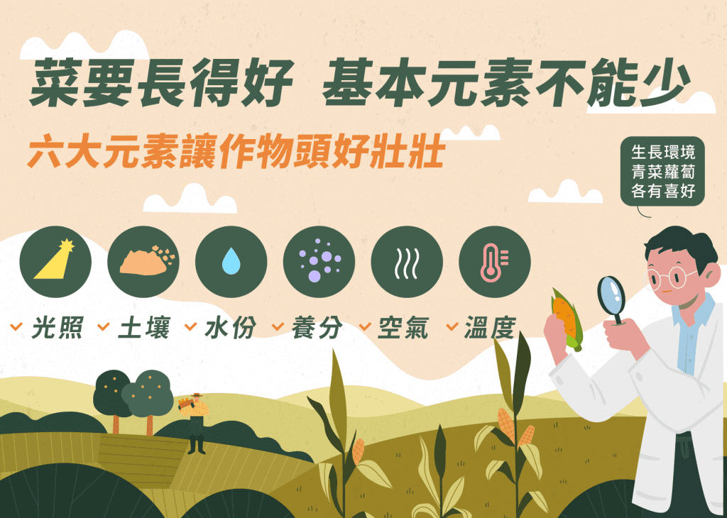 菜要長得好，基本元素不能少