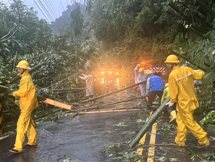 凱米颱風台電於新竹五峰鄉樹木傾倒壓線搶修。