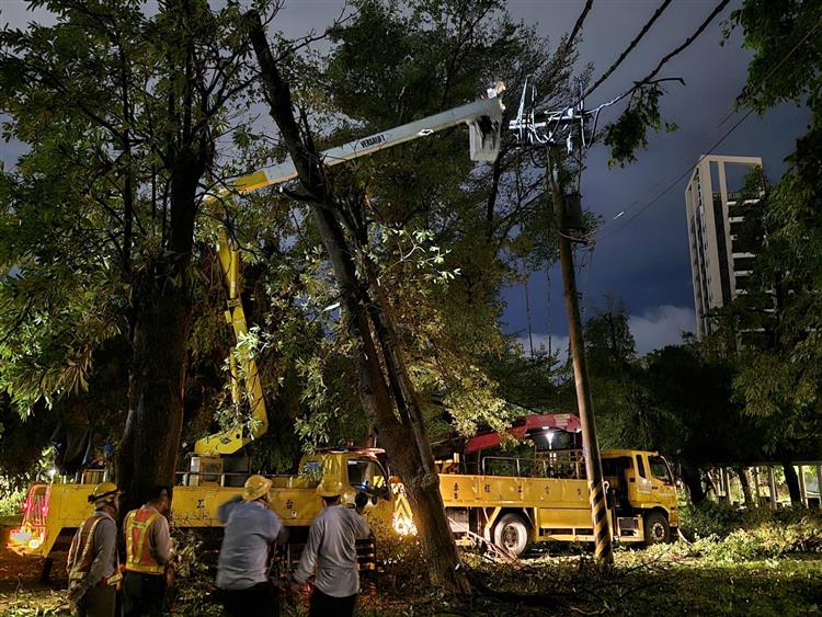 台電新竹區處支援左營區蓮池潭公園內線路遭樹木壓損搶修工作。