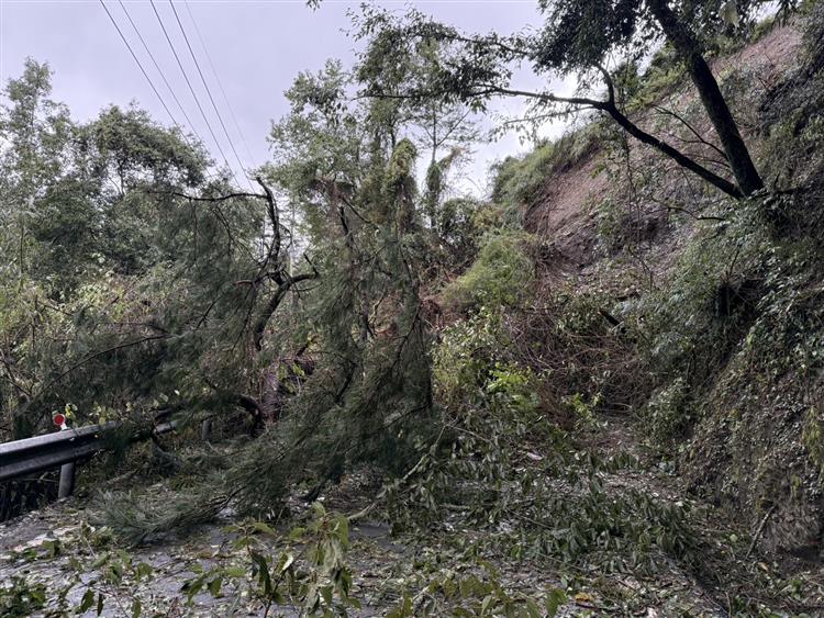 圖說：梨山地區發生大量山石滑落及路基損壞無法通行，阻礙台電機具、設備進入山區搶修。圖為台8線99.1K樹倒狀況。