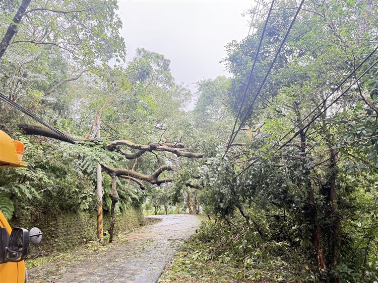 受康芮颱風影響，大型樹木、電桿倒斷嚴重，等待道路搶通延長了整體搶修時間。圖為新北市三峽山區多處樹木傾倒壓線及電桿斷裂致道路阻礙。