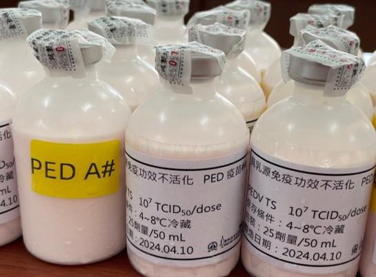 台糖研發的新世代PED疫苗以技術突破性、應用效益，以及產業價值等優勢脫穎而出，獲頒第22屆國家新創獎