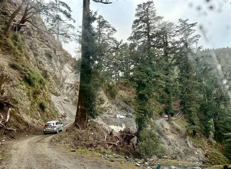 新東西線的施工與維護，須仰賴丹大林道及孫海橋等既設道路，台電與林保署合作，成功整合道路與電網維護工作。
