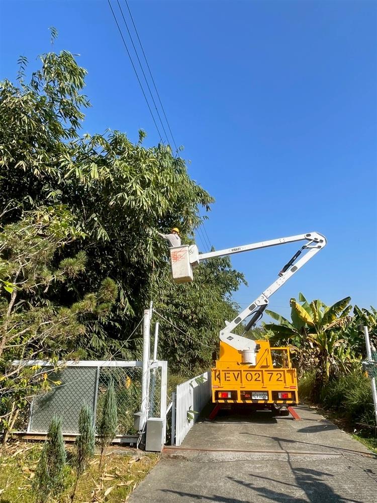 圖說：台電7月6日即啟動防颱整備作業，全面加強鄰近供電線路樹竹修剪。
