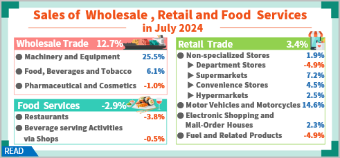 Sales of Wholesale, Retail and Food Services in July 2024